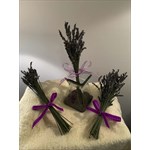 Small Lavender Bundles (12"-14" Tall)